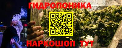 apvp Керчь
